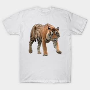 Bengal Tiger T-Shirt